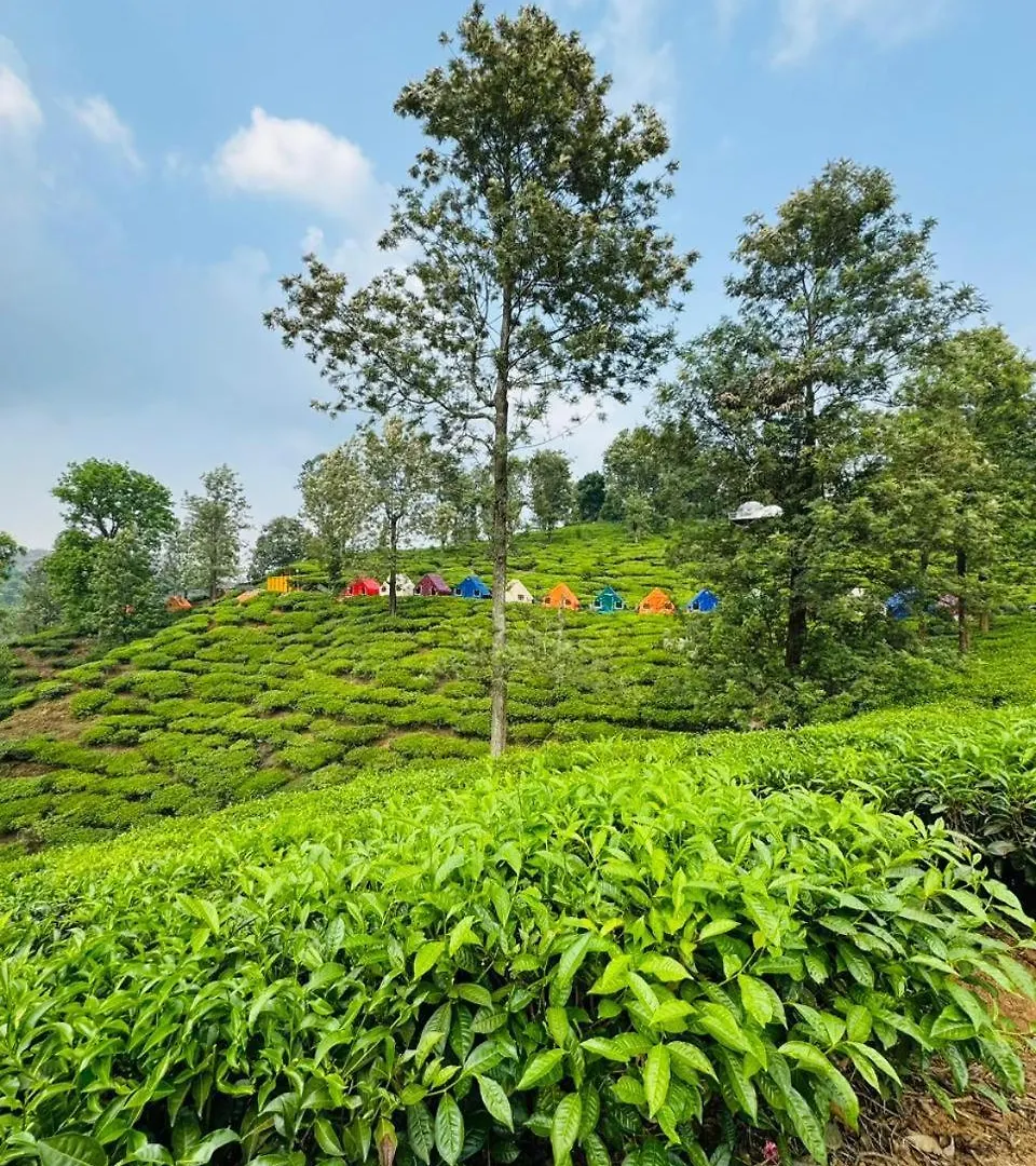 Hotel Boche 1000 Acre Meppādi 0*,