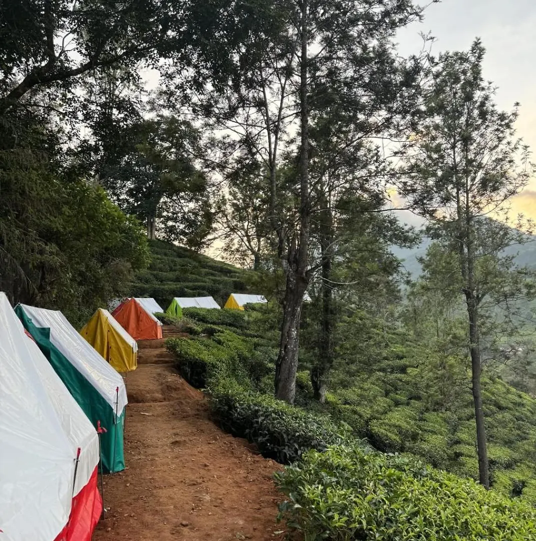 Hotel Boche 1000 Acre Meppādi India