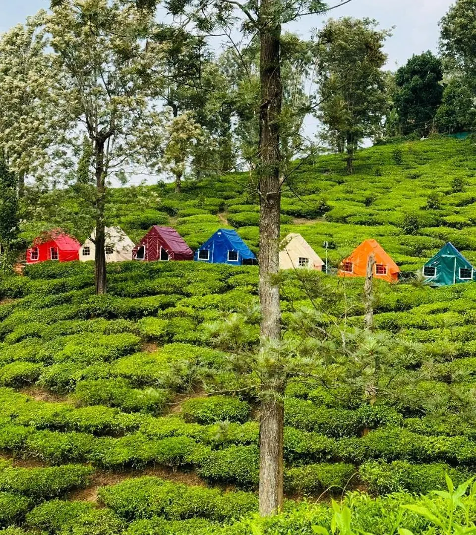 Hotel Boche 1000 Acre Meppādi