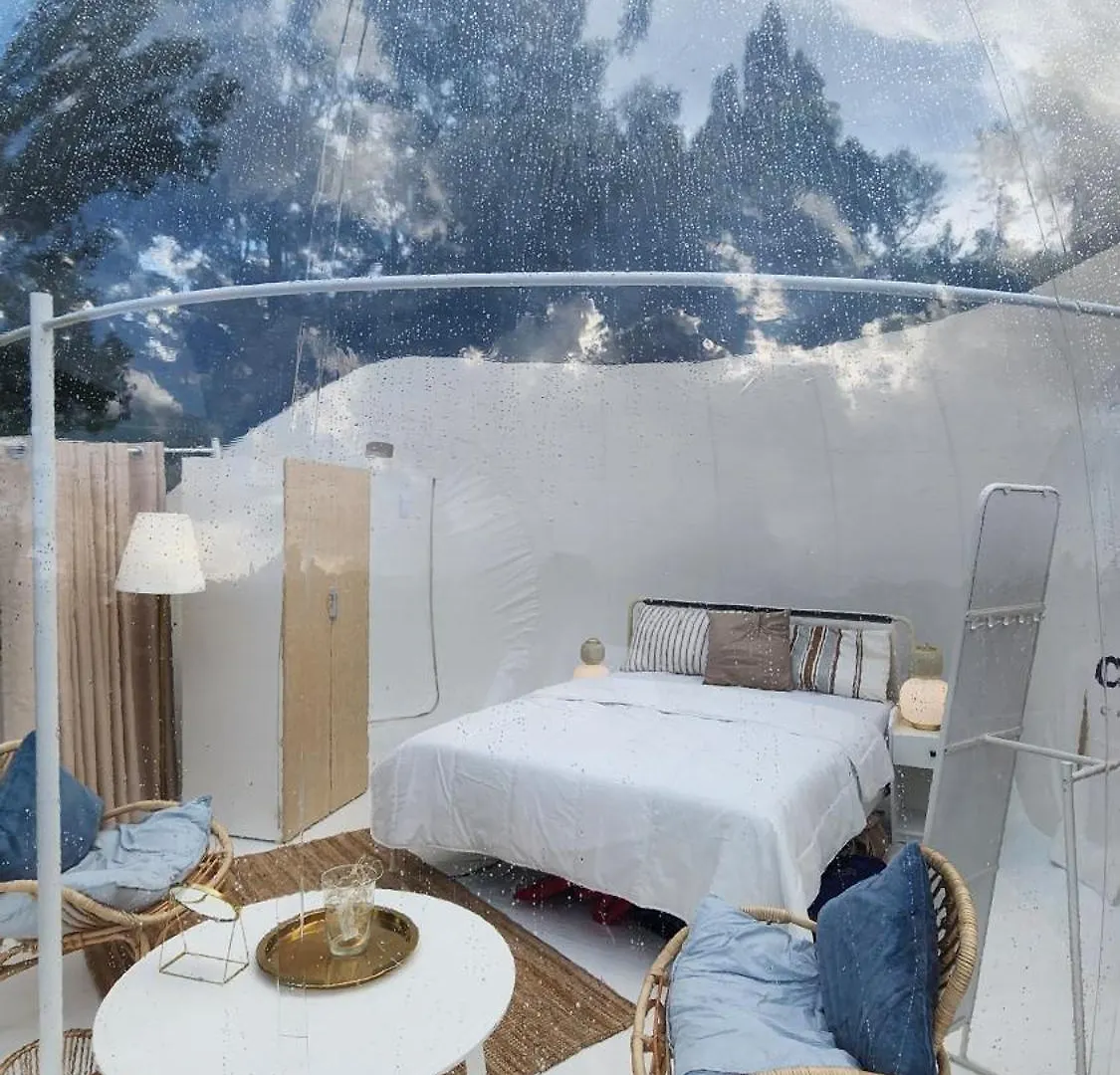 Camping Hotel Boche 1000 Acre Meppādi India